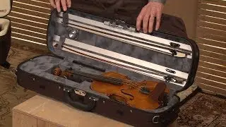Picking Out Your Viola  - Lesson 4 : Types Of Cases
