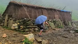 Daily activities of people in Himalayan shepherd Life Nepal 
