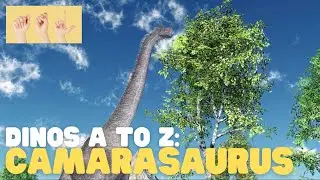 ASL Camarasaurus for Kids