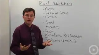 Plant Adaptation