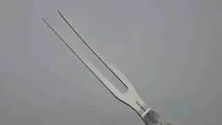 F DICK Red Spirit Carving Fork 20cm