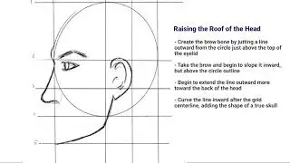 Drawing Profile of the Male Head