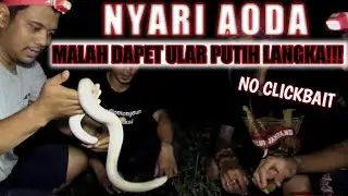 DETIK DETIK PANJI DAPAT ULAR PUTIH LIAR !! | PENCARIAN AODA PART 4