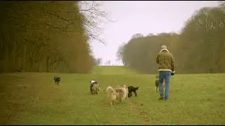 Paris Forest 2024