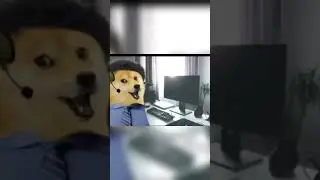 INDIAN CHEEMS DOG | | NETWORK ISSUE | | TROUBLESHOOTING | | CHEEMS VIDEO