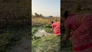 Unique Hook Fishing By village cute lady #fishingmethods #hookfishing #shortsviral #fishing_hooks