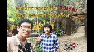 เข้าถ้ำธารลอดน้อยเดินป่าชมน้ำตกไตรตรึงษ์ 2วัน1คืน#เดินป่าไทย #ป่าไม้ไทย #กางเต็นท์ #camper #camping
