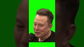 elon musk glitch green screen