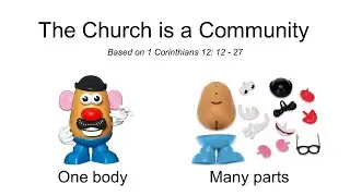 One Body Many Parts