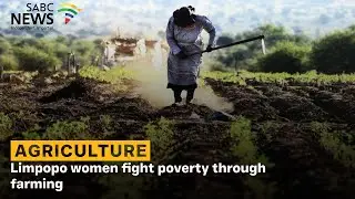 Limpopo women fight poverty through farming