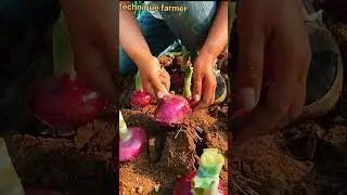 The hidden art in farming