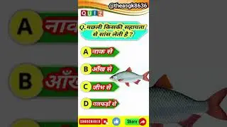 मछली 🦈किसकी सहायता से सांस लेती है |Whose help is fish?breathes from| @theasgk8636  #fishbreathing