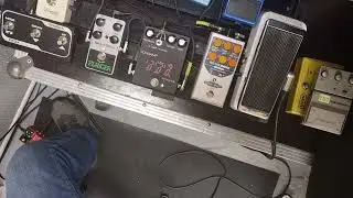 Retro Sonic Flanger and Longamp Roxanne. Electric Mistress Clones