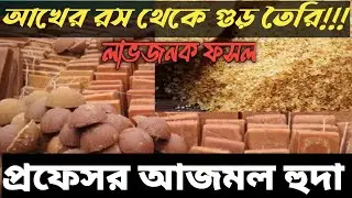 কীভাবে তৈরি হয় খাঁটি আখের গুড়? || প্রফেসর আজমল হুদা  @alokakrishitv 