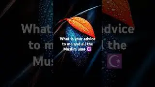 what is your advice to me and all of the Muslim uma ☪️🕋💕