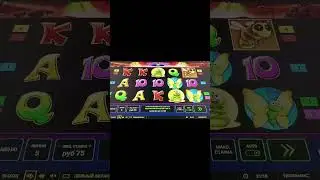 Beetle Mania delux - супер игра 90
