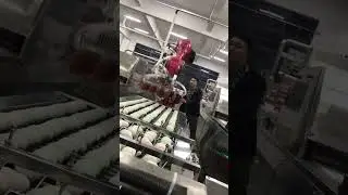 #Palletize #robot Industrial robot assembly line automation #Transport Solution  Stack eggs 🥚