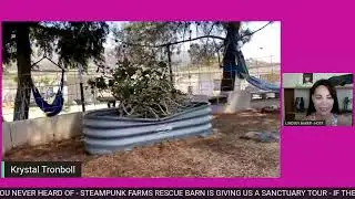 STEAMPUNK FARMS RESCUE BARN - THE LARGEST FARM SANCTUARY YOU NEVER HEARD OF!