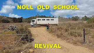 NOLL OLD SCHOOL REVIVAL