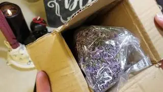A little witchy haul - herbs, gift from a friend and a gift I got for myself :)
