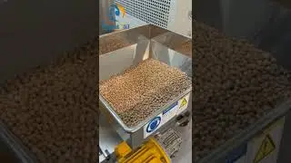 Buyer show of BSP-350 chickpea flour pulverizer machine