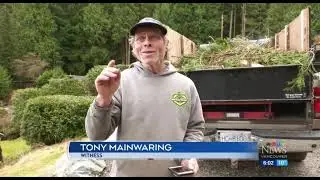 2 pilots survive helicopter crash on Bowen Island