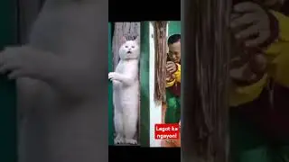 Kinain yung ulam! #yt #funny  #laughtrip #comedy