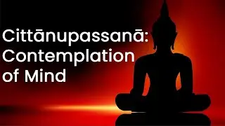Mindfulness Meditation Guide: Cittānupassanā: Contemplation of Mind | Mahāsatipaṭṭhāna Sutta