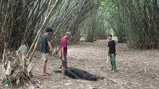 VIRAL 2026❗ SUKU MANTE MUNCUL TIBA TIBA DI HUTAN BAMBU 