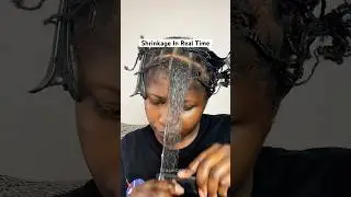 Natural Hair Shrinkage In Real Time #haircurls  #shrinkage #coilyhair #type4naturalhair