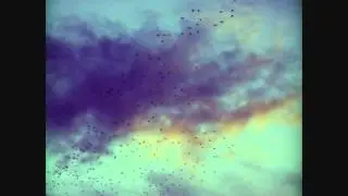 Cujo {Amon Tobin} ~ Adventures in foam (Intro)