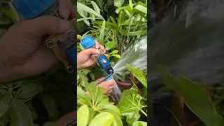Smart Garden DIY &ndash; Phone Controlled!