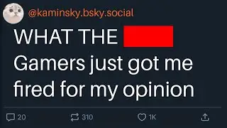Gamer hating 'Community Manager' just lost everything