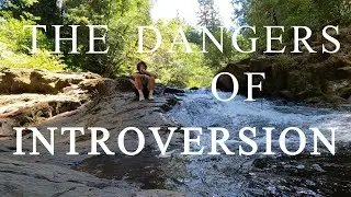 THE CHRISTIAN INTROVERT