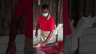 fish cutting###fish market##tour guide uma##tour guide##slow motion