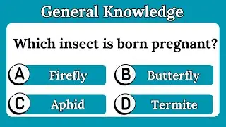 Animals Gk questions  | Trivia questions and answers | Ultimate general knowledge quiz