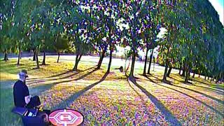 Furibee Q95 Woody Sunrise