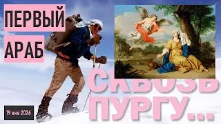 * СКВОЗЬ ПУРГУ * ПЕРВЫЙ АРАБ * ЗАГАДКИ ТОРЫ/БИБЛИИ * БЫТИЕ * Глава 16 * #shorts
