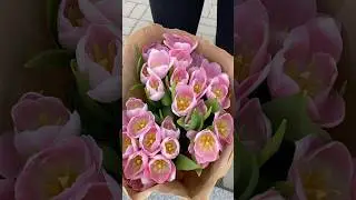 #shorts #shortsvideo #music #nature #chernihiv #ukraine #flowers
