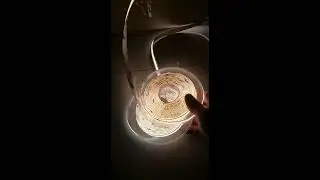Bright White COB LED Tape Lights series - Smart Bright LEDs