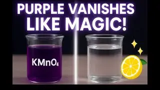&ldquo;Lemon Juice + KMnO₄: The Chemistry of Disappearing Purple&rdquo;
