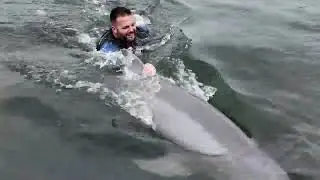 Wounded Warriors Interact with Dolphins in the Florida Keys