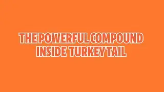 What&rsquo;s Inside Turkey Tail? The Compounds That Supercharge Your Immune System