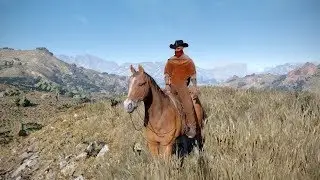 Wild West Online: Western-Feeling im Gameplay