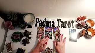 SCORPIO NEW DIRECTION BRINGS SUCCESS MAY 2ND-8TH 2023 CAREER & FINANCES