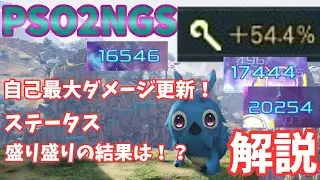 【PSO2NGS】自己最大ダメージ更新！レリク？それはまた別の機会に・・・【ゆっくり実況】
