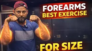 Best Forearms Exercises | Muscle Fitness | Fitness Tips