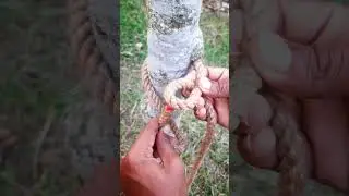 wou best easy rope knot #rope #knot #gtknot #diytips #campinghacks #campingknots