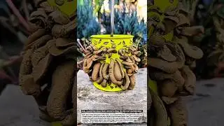 Soil Clumping Reaction on Rotating Filter Cup Experiment | Crafted Logic.