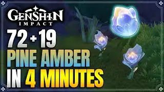 Pine Amber Locations | Fast and Efficient | Ascension Materials【Genshin Impact】